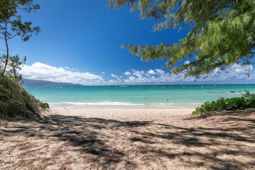 Unit 19 Maui Ohana Modern Studio Wailuku Екстериор снимка
