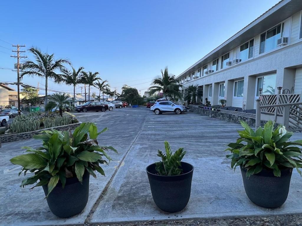 Unit 19 Maui Ohana Modern Studio Wailuku Екстериор снимка